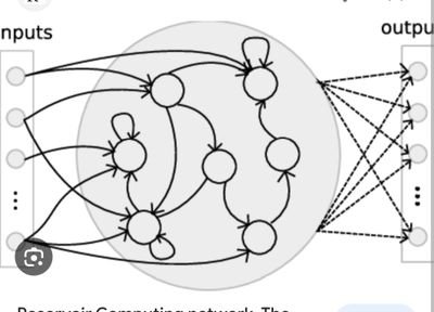 electromyography / brain machine interface / neuroscience / deep learning