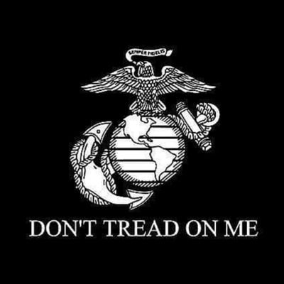 OIF/OEF U.S.M.C Grunt Combat Veteran; 3/8 Kilo Co 2nd MAR DIV, Camp Lejeune         
☣️#letsEndVeteranSuicide ☣️ 🚫22to0🚫