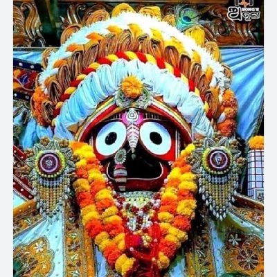 ranidas23622's profile picture. 