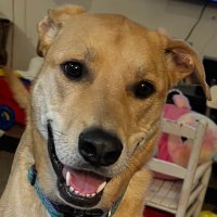 MDPick777 (@mdpick777) 's Twitter Profile