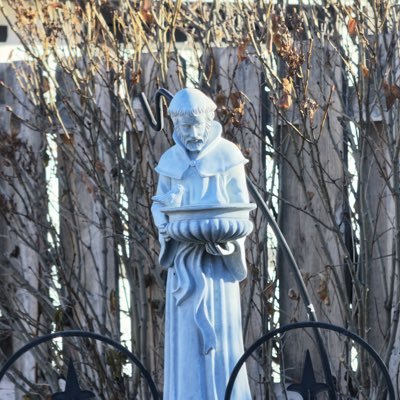 lesnick_ron's profile picture. Old School American