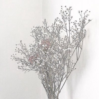꒰ঌグッズ取引用の垢です໒꒱ ┊ 20↑ ┊ 本垢提示可 ┊ メルカリ・メルペイ・PayPay・振込・現金 ┊ お仕事の都合上ご連絡遅くなります