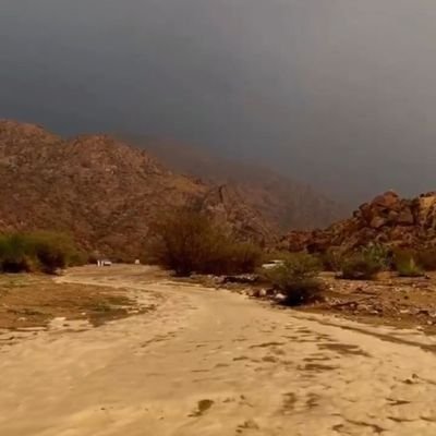 ( ابو نواف الحربي ) حساب لمعلم محب للغيث ومطاردة السحايب 🌧 ومهتم بأخبار الغيث والربيع🌿🌿 اولا بأول من الميدان   
#المدينه_المنوره
 💜🇸🇦💜