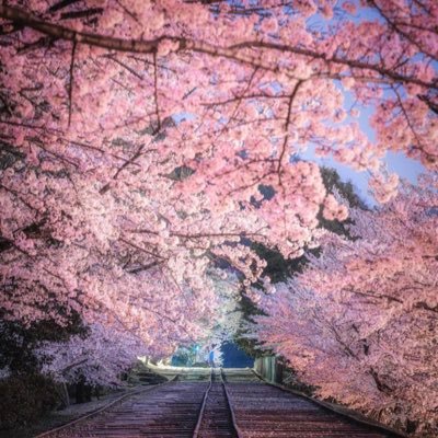 反日-亡国政党大嫌い。誹謗中傷-捏造偏向マスゴミ大嫌い。静かな侵略から、日本を護りたい! WGIP からの脱却を! 無断フォロー、RT失礼致します。