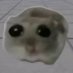Sad Hamster (@HammyCommunity) Twitter profile photo