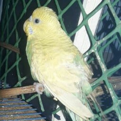 TamilanMar88754's profile picture. 