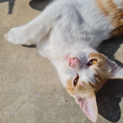 sstupln_'s profile picture. Twenty Wed