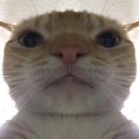 Ethan (@drhandsome123) 's Twitter Profile