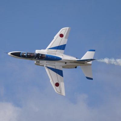 猫🐱写真📷飛行機✈️が好きなこうむいん /コンサルタントするひと/SIGMA sd Quattro Hユーザー