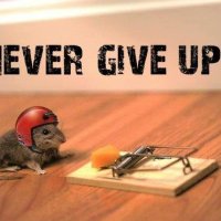 Mousey (@mousey_5) 's Twitter Profile