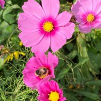 Helen Saunders (@helsaunders) 's Twitter Profile Photo
