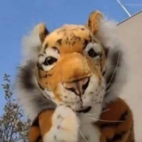 tama💜 (@tatatama_0612) 's Twitter Profile