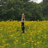 Ellie G ♀️🕊️🌻 (@oxymorion) 's Twitter Profile Photo