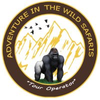 Adventure In The Wild Safaris(@gorillaugandaTM) 's Twitter Profile Photo