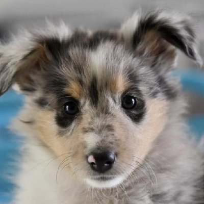 DonnaLynnsf's profile picture. I like Collecting (coins, stamps, cards, etc.).