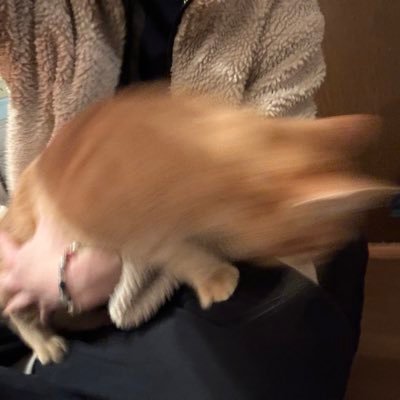 moriguP's profile picture. Non上手く綺麗で心地好く