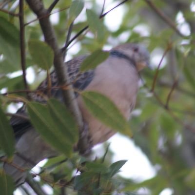 趣味→写真を撮ること。

よろしくお願いします🙇