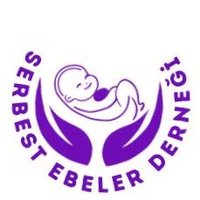 Serbest Ebeler Derneği(@serbestebeler) 's Twitter Profile Photo