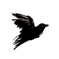 ثِمار (@q_1aq) 's Twitter Profile Photo ثِمار (@q_1aq) 's Twitter Profile Photo