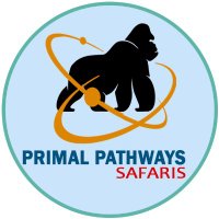 Primal Pathways Safaris(@PrimalSafaris) 's Twitter Profile Photo