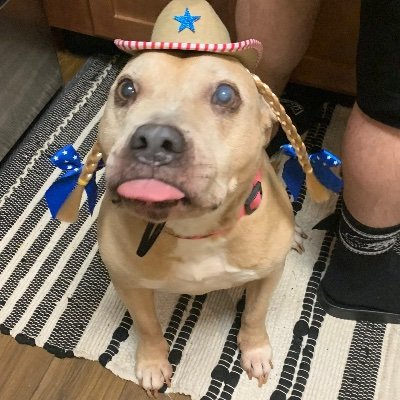 HollyTa23989773's profile picture. 