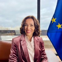 Sofia Moreira de Sousa(@sms_eur) 's Twitter Profile Photo