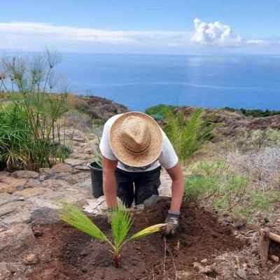 LaPalmaFrank's profile picture. On the road to a more sustainable and self-sufficient living. Step on: Start a Permaculture Project on La Palma. #permaculture #permaguide