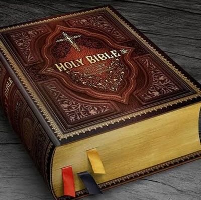 BookOfWisdum's profile picture. Feed your spirit: Bible + prayer = growth.