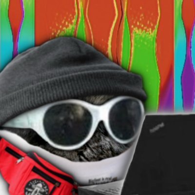 NotSoAnonJoo's profile picture. Stealth | Prev @Delphi_Digital