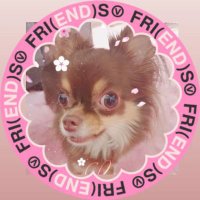 なおみん (@gakkun_hana) Twitter profile photo