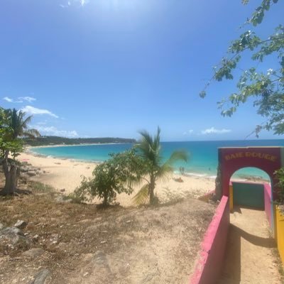 T76Clara19445's profile picture. 