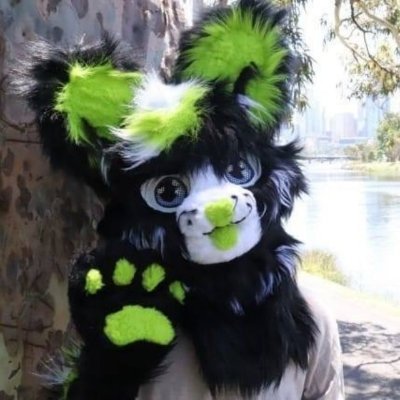 AshJackalNew's profile picture. wunkus
19