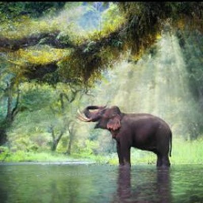 NaliSunil37631's profile picture. 