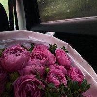 خديجة الشريف (@li0lom) 's Twitter Profile Photo خديجة الشريف (@li0lom) 's Twitter Profile Photo