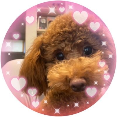 食べること大好き夫婦👫/愛犬トイプードル(2歳♀)溺愛🐩💗🐩/
料理するのが好きで休日は料理教室に通っています𓎩𓌉𓇋
Love❥❥家電📺┊︎旅行✈️┊︎インテリア🌱┊︎カフェ巡り☕️┊︎スイーツ🍰┊︎
