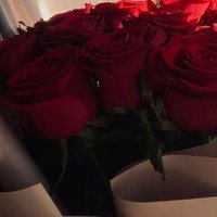 Flora🌷❤️🇩🇿 (@flora4033367306) 's Twitter Profile