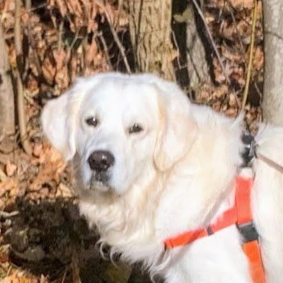 MokbMatt's profile picture. 