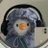 xiuthink's profile image