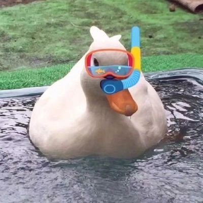 taengunn's profile picture. 