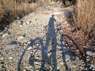 MTBにTrail Runに 山遊び大好き