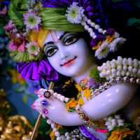 RadhaRaman(वासु)🦚 (@vnagasam3485) 's Twitter Profile