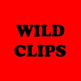 WildCrazyVideos Profile Picture