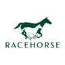 RacehorseArg's profile picture. Desde 1989 tenemos el objetivo de brindar a nuestros clientes el mejor asesoramiento en el negocio del Caballo Sangre Pura De Carrera (S.P.C.).