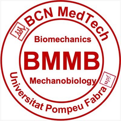 BMMB is a research area led by Prof. Jérôme Noailly since 2015. Research focuses on tissue physics, multiscale biomechanics, and risk factors for diseases.