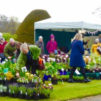 Flower Power Fairs (@flowerpowerfair) 's Twitter Profile Photo Flower Power Fairs (@flowerpowerfair) 's Twitter Profile Photo