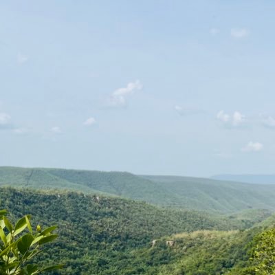 VishalG1419372's profile picture. 