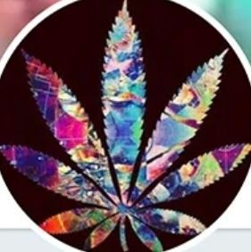 IAMSOBAKED420 Profile Picture