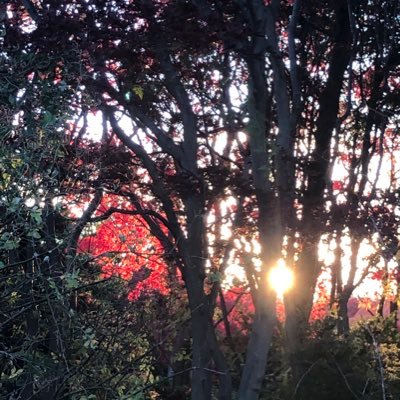 career_gawak's profile picture. 