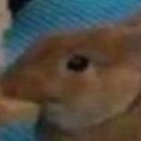 DayDa84870638's profile picture. she/they
24