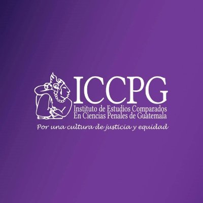 Insitución académica en el área de política criminal y derechos humanos.